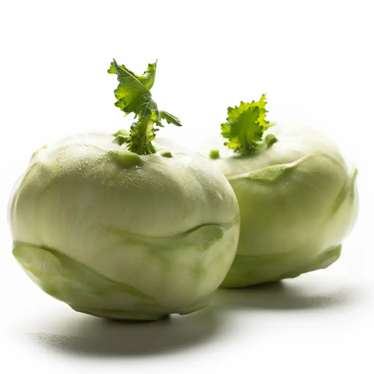 Produktfotos und Katalogtitel von Kohlrabi